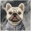 Etui Nimmy Gentle Pets Series Dog        MagSafe do iPhone 17 Pro Max czarny